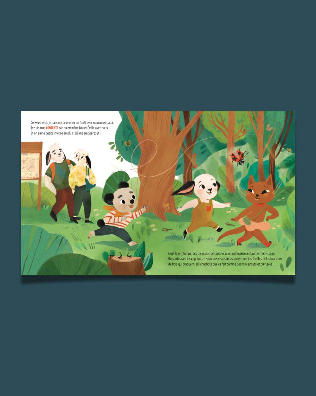 Livre Pipouette déborde d'émotions - La dispute