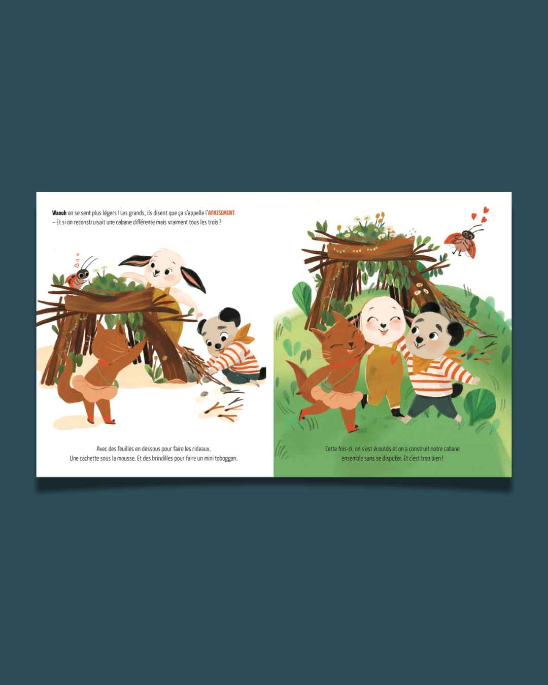 Livre Pipouette déborde d'émotions - La dispute