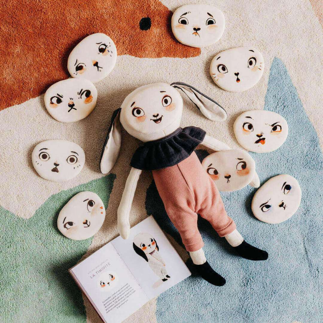 livret d'utilisation du compagnon des émotions avec visages amovibles