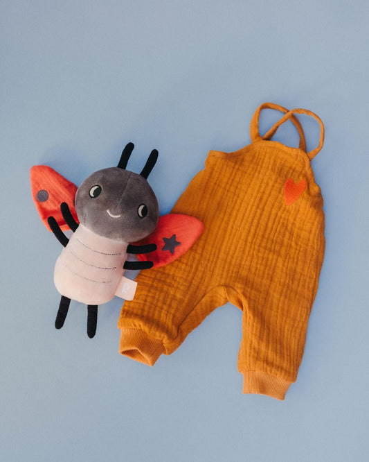 Pack Lili la coccinelle + tenue du livre