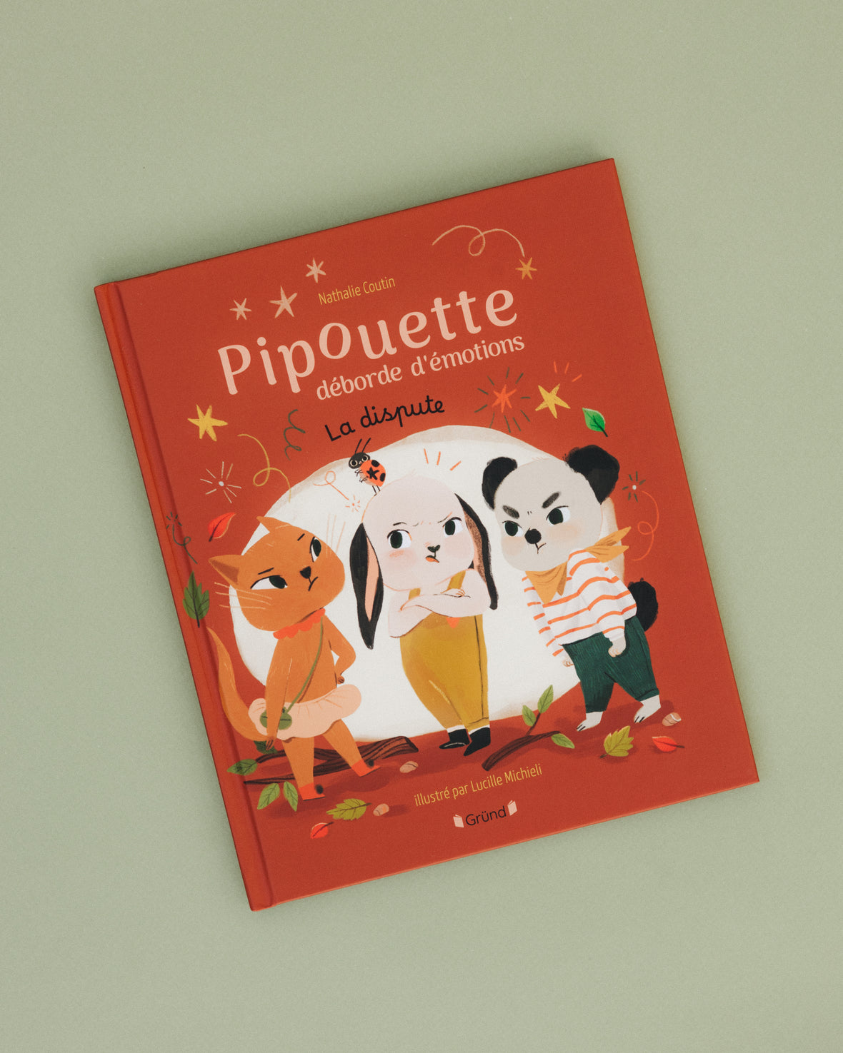 Livre Pipouette déborde d'émotions - La dispute