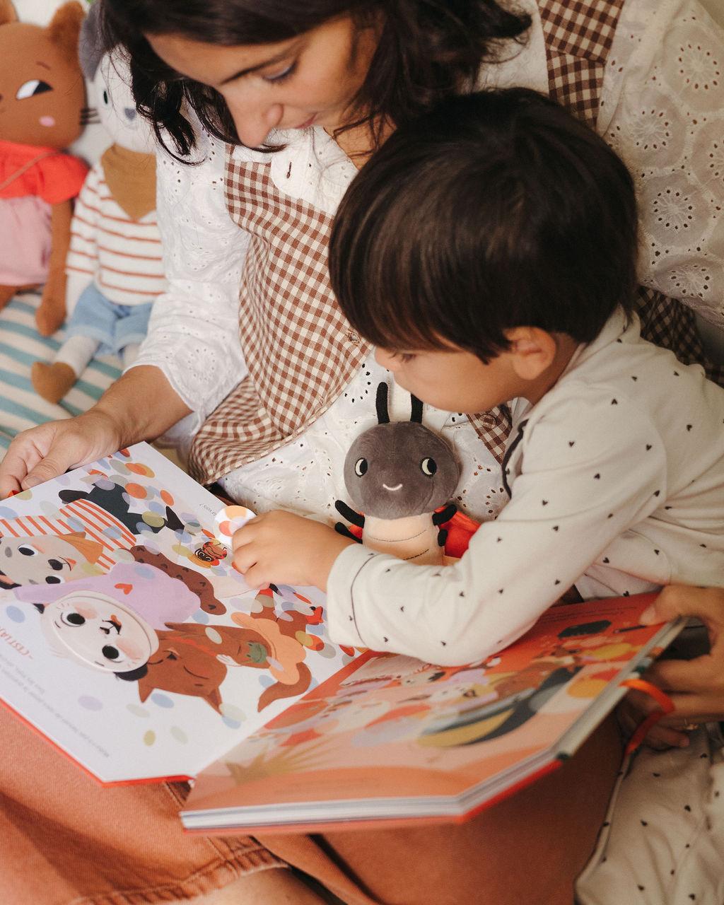 Livre La Maison des émotions de Pipouette