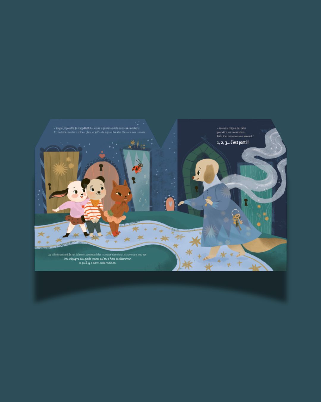 Pack spécial livre La Maison des émotions + tenue + stickers