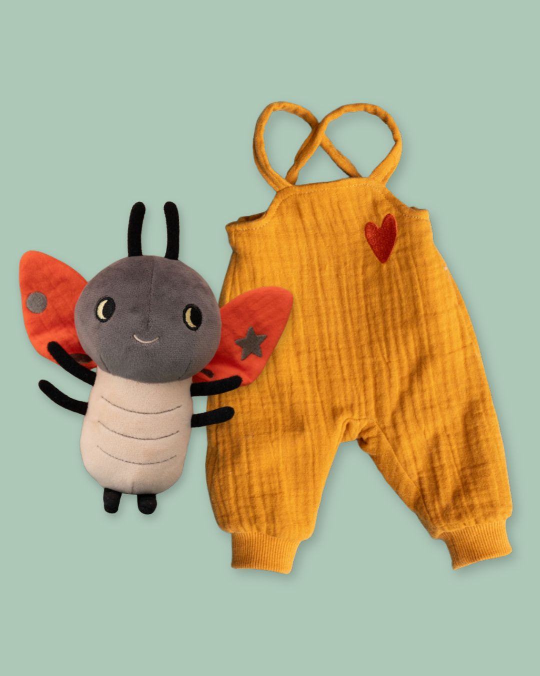 Pack Lili la coccinelle + tenue du livre